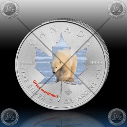 1oz KANADA $5 Maple Leaf 2014 "POLARNI MEDVED" BARVNI